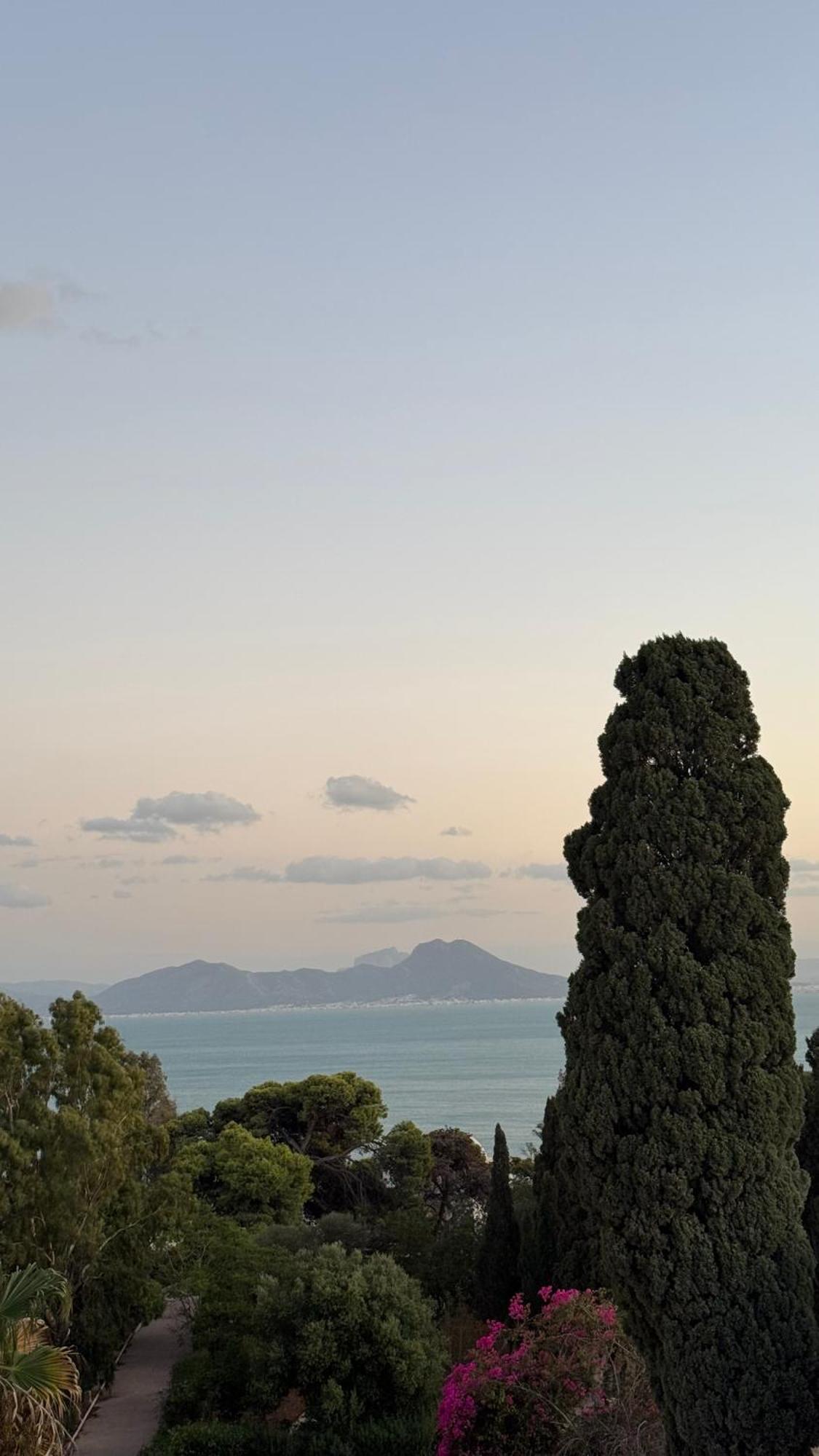 Panoramic 360 Degrees View Sidi Bousaid 시디부사이드 외부 사진
